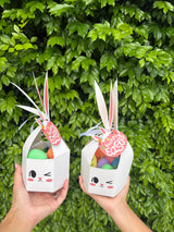 Easter Bunny Activity Packs