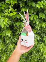 Easter Bunny Activity Packs